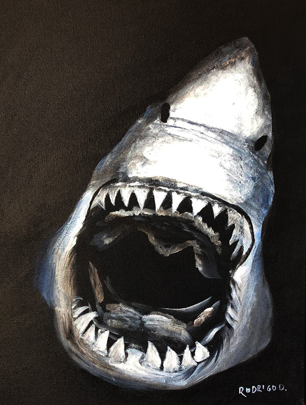 Tubarão - 30 x 40 - AST - 2020